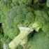 Broccoli si sanatatea