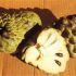 Fructe exotice - Cherimoya