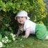 Plantele otravitoare - un real pericol pentru copii