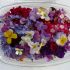 Florile, elemente decorative si in farfurie