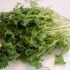 Andive