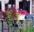 Sfaturi pentru crearea unei frumoase jardiniere