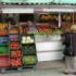 Legumele in nutritie 