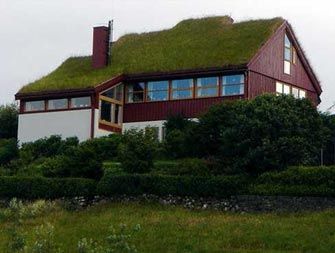 Avantajele utilizarii acoperisului verde 