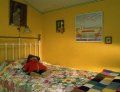 dormitor ursulet cuvertura multicolora