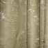 DRAPERII