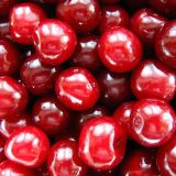 POMI FRUCTIFERI-VISIN Soiul MORELLA  NEAGRA