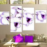 Tablouri decor din 4 piese -  orchid 20161