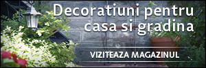 Decoratiuni pentru casa si gradina