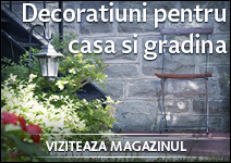Magazin online decoratiuni pentru casa si gradina