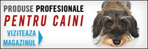 Magazin profesional pentru caini.