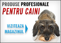 Magazin produse profesionale pentru caini