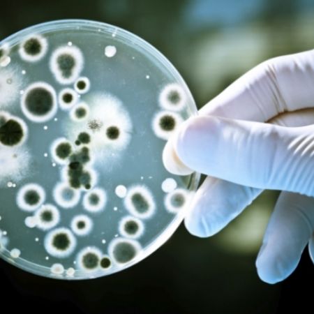 Aparatele electrocasnice sunt surse de microbi si bacterii