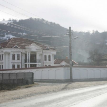 Palatul lui Nicolae Guta