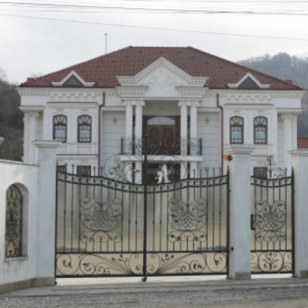 Palatul lui Nicolae Guta