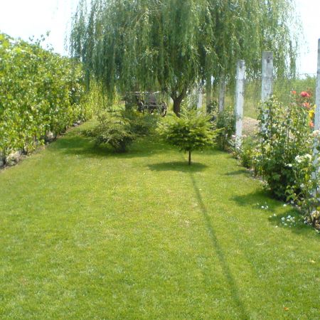 gradina
