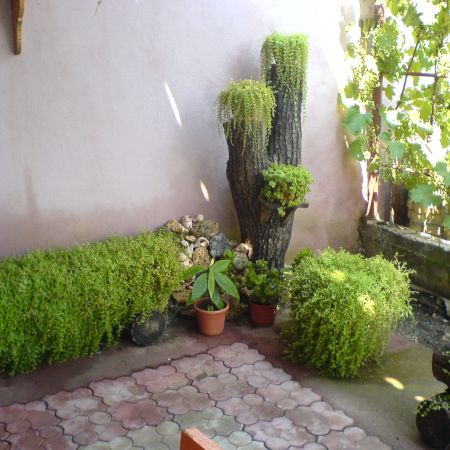 terasa