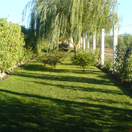 gradina