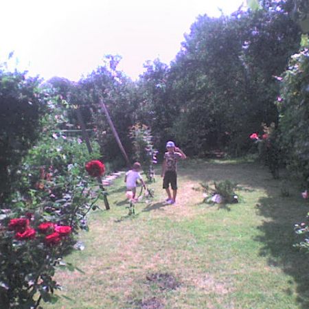 GRADINA