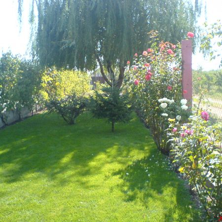 gradina