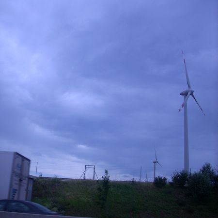 intr-un parc din Viena