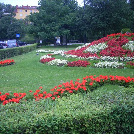 in parc