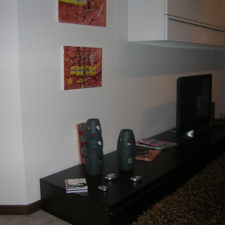 livingul lui gabi