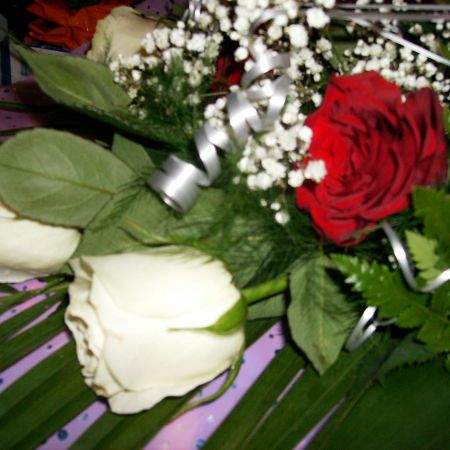 flori