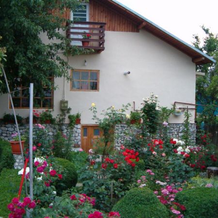 gradina