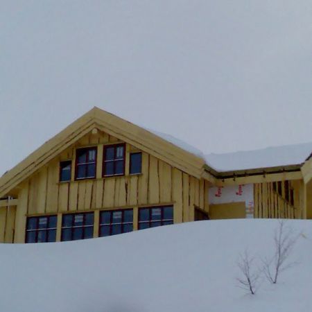 casa  din lemn