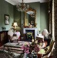 living in stil traditional, cu peteri verzi