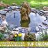 fantana iaz - cascade- tuf calcaros