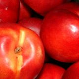 POMI FRUCTIFERI-NECTARIN Soiul INDEPENDENCE