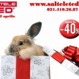 SALTELE TED - Sarbatorile Pascale - 40% OFF