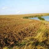 Vanzare teren Belciugatele lac Valea Iazurilor 34 ha